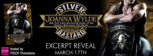 silver bastard excerpt reveal